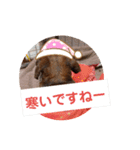 田舎に住むマロン（個別スタンプ：24）