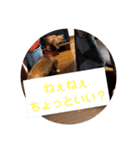 田舎に住むマロン（個別スタンプ：25）