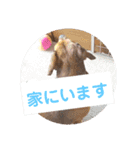 田舎に住むマロン（個別スタンプ：27）