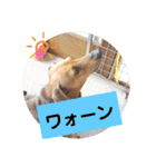 田舎に住むマロン（個別スタンプ：28）