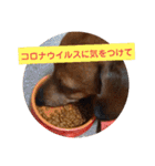 田舎に住むマロン（個別スタンプ：30）