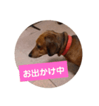 田舎に住むマロン（個別スタンプ：31）