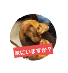 田舎に住むマロン（個別スタンプ：32）