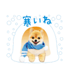 ポメラニアン もふた 3（個別スタンプ：15）