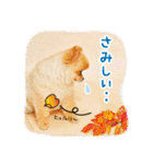 ポメラニアン もふた 3（個別スタンプ：18）