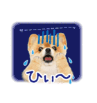 ポメラニアン もふた 3（個別スタンプ：23）