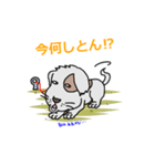 ブサ犬の助言（個別スタンプ：20）