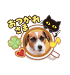 ジェットとサリー（個別スタンプ：1）