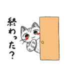 明るいアメショー猫の日常会話（個別スタンプ：24）