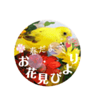 動物たちに春が来た！by チノカフェ（個別スタンプ：1）