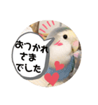 動物たちに春が来た！by チノカフェ（個別スタンプ：4）