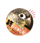 動物たちに春が来た！by チノカフェ（個別スタンプ：7）