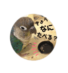 動物たちに春が来た！by チノカフェ（個別スタンプ：9）