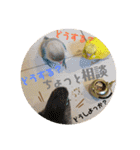 動物たちに春が来た！by チノカフェ（個別スタンプ：11）
