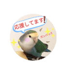 動物たちに春が来た！by チノカフェ（個別スタンプ：12）