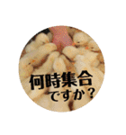 動物たちに春が来た！by チノカフェ（個別スタンプ：25）