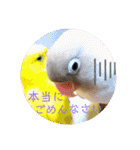 動物たちに春が来た！by チノカフェ（個別スタンプ：28）