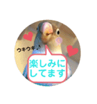 動物たちに春が来た！by チノカフェ（個別スタンプ：30）