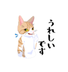 みんなのうちねこスタンプ（個別スタンプ：5）