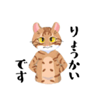 みんなのうちねこスタンプ（個別スタンプ：11）