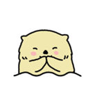 きょうのラッコ（個別スタンプ：1）