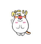 ニャコマル（個別スタンプ：3）