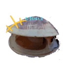 海＆自由（個別スタンプ：5）