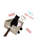 黒猫むぅちゃんの日常（個別スタンプ：10）