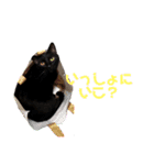 黒猫むぅちゃんの日常（個別スタンプ：11）