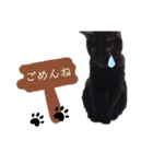 黒猫むぅちゃんの日常（個別スタンプ：13）