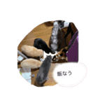 aiboo.cm.tvxq（個別スタンプ：3）
