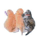 aiboo.cm.tvxq（個別スタンプ：7）