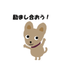 犬のコロン4（個別スタンプ：1）