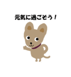 犬のコロン4（個別スタンプ：3）