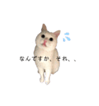 あおのりの1日（個別スタンプ：3）