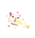 あおのりの1日（個別スタンプ：6）