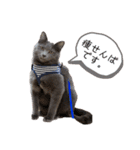 あおのりの1日（個別スタンプ：7）