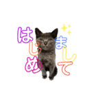 あおのりの1日（個別スタンプ：11）