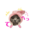 あおのりの1日（個別スタンプ：17）