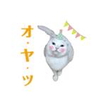 あおのりの1日（個別スタンプ：21）
