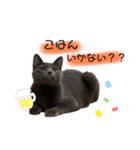あおのりの1日（個別スタンプ：22）