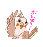 オカメインコのイヴ（個別スタンプ：4）