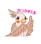 オカメインコのイヴ（個別スタンプ：5）