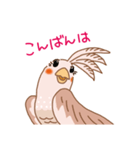 オカメインコのイヴ（個別スタンプ：11）