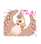 オカメインコのイヴ（個別スタンプ：12）