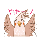 オカメインコのイヴ（個別スタンプ：14）