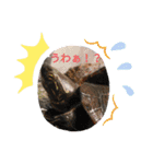 teru-stamp new！（個別スタンプ：5）