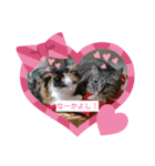 teru-stamp new！（個別スタンプ：8）