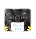 teru-stamp new！（個別スタンプ：11）