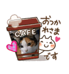 teru-stamp new！（個別スタンプ：15）